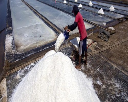 Kejar Swasembada Garam, KKP Bidik Produksi 2 Juta Ton di NTT