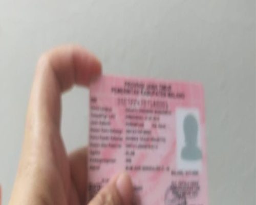 Apa Itu KTP Pink? Simak Kegunaan dan Bedanya dengan KTP Biru